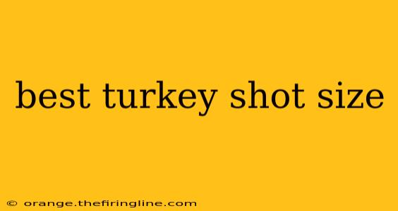 best turkey shot size