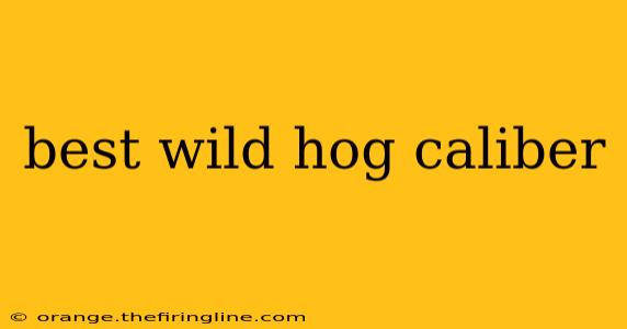 best wild hog caliber