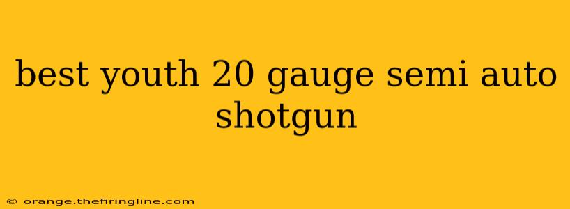 best youth 20 gauge semi auto shotgun