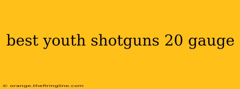 best youth shotguns 20 gauge