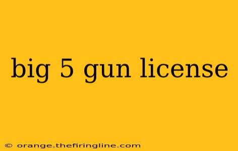 big 5 gun license