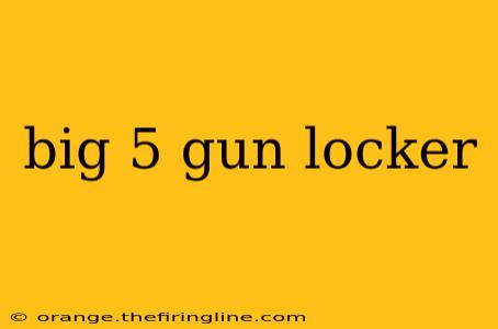 big 5 gun locker