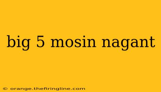 big 5 mosin nagant