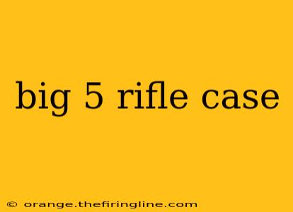 big 5 rifle case