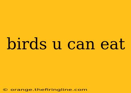 birds u can eat