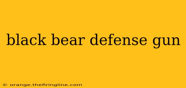 black bear defense gun