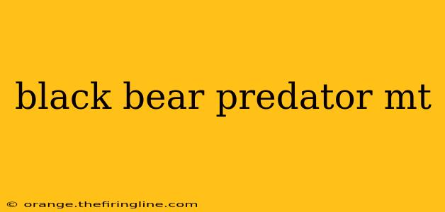 black bear predator mt