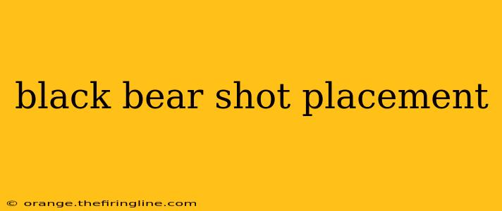 black bear shot placement