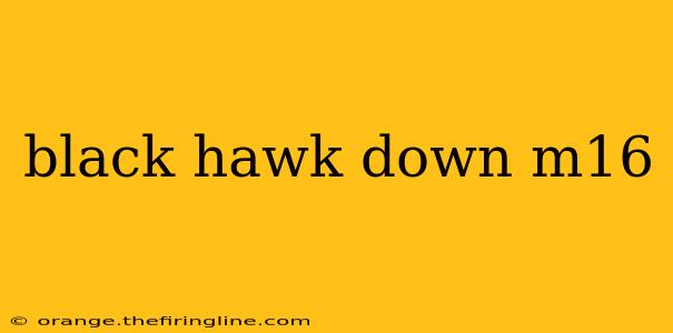 black hawk down m16