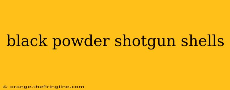 black powder shotgun shells