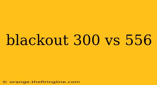 blackout 300 vs 556