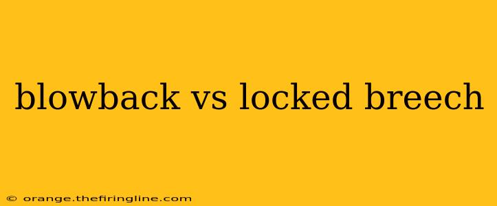 blowback vs locked breech