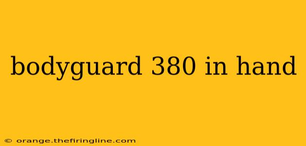 bodyguard 380 in hand