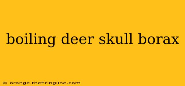 boiling deer skull borax