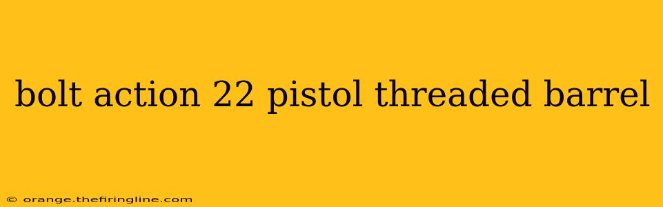 bolt action 22 pistol threaded barrel