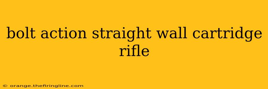 bolt action straight wall cartridge rifle