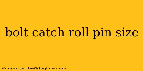 bolt catch roll pin size