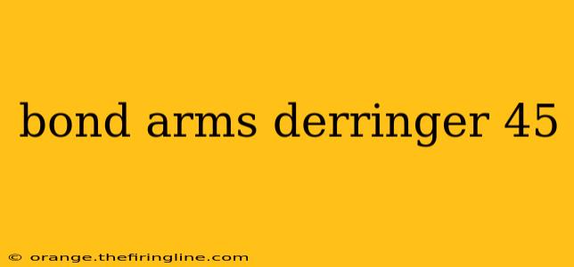 bond arms derringer 45