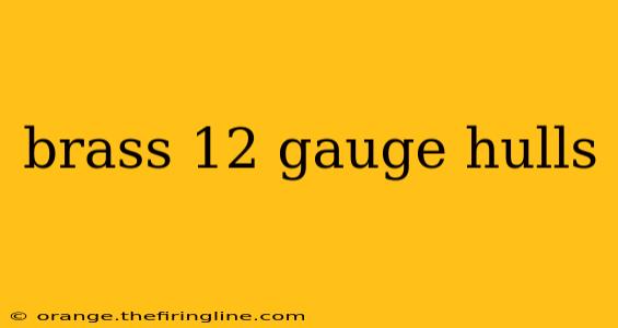 brass 12 gauge hulls