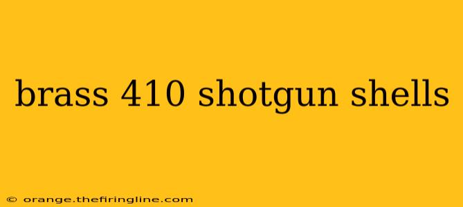 brass 410 shotgun shells