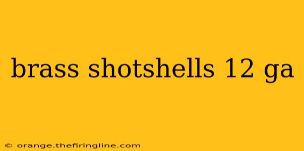 brass shotshells 12 ga