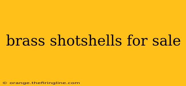 brass shotshells for sale