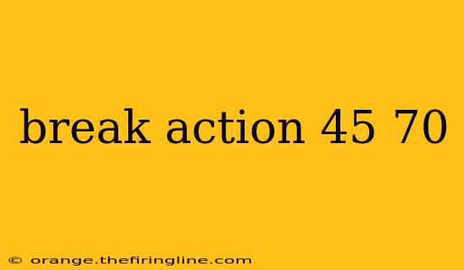 break action 45 70