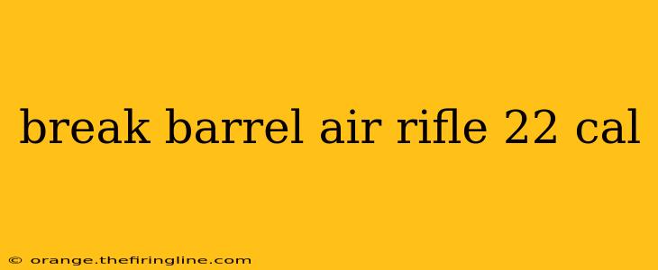 break barrel air rifle 22 cal