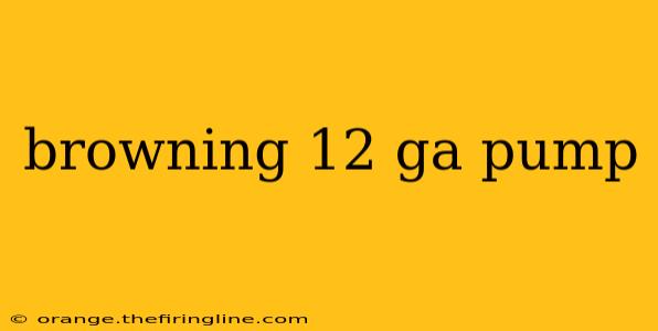 browning 12 ga pump