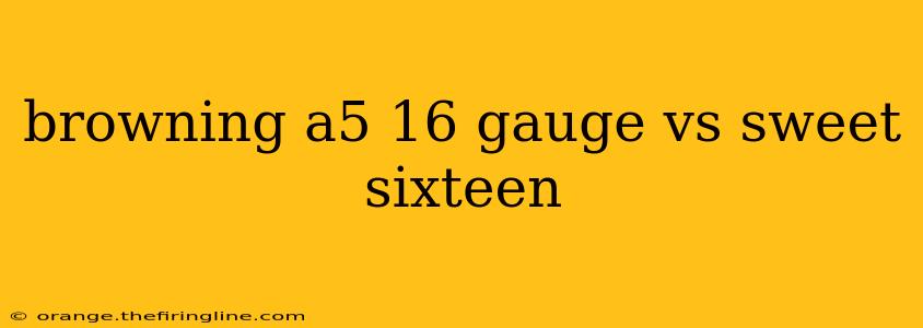 browning a5 16 gauge vs sweet sixteen