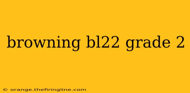 browning bl22 grade 2