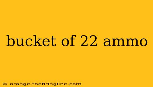 bucket of 22 ammo