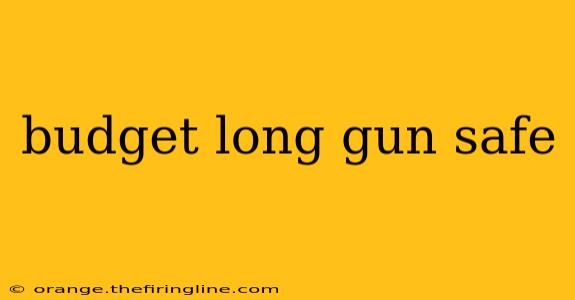 budget long gun safe