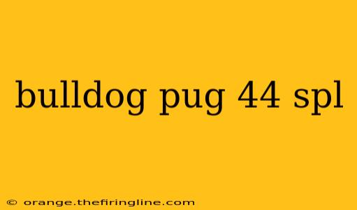 bulldog pug 44 spl