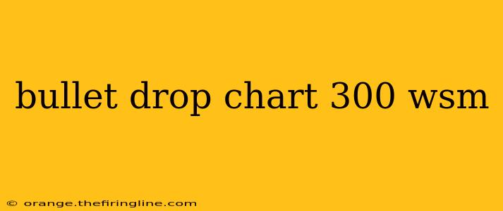 bullet drop chart 300 wsm