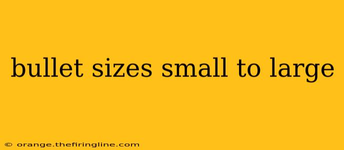 bullet sizes small to large