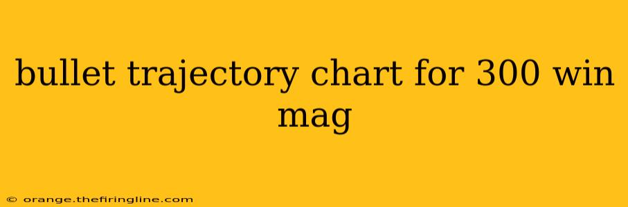 bullet trajectory chart for 300 win mag