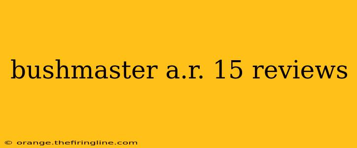 bushmaster a.r. 15 reviews