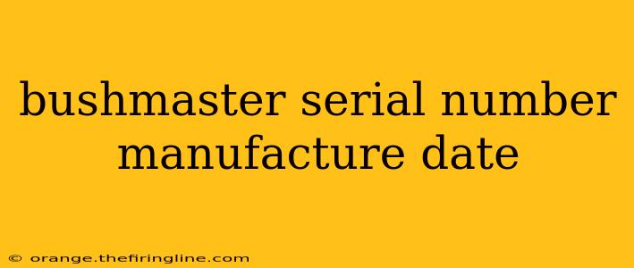 bushmaster serial number manufacture date