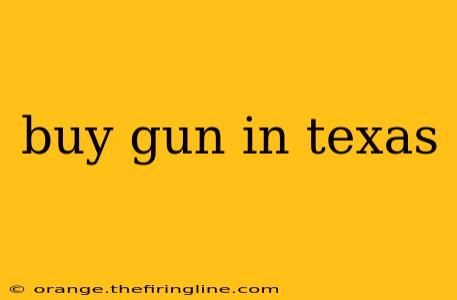 buy gun in texas