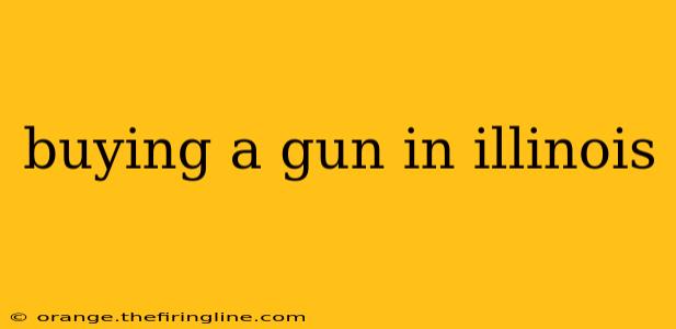 buying a gun in illinois