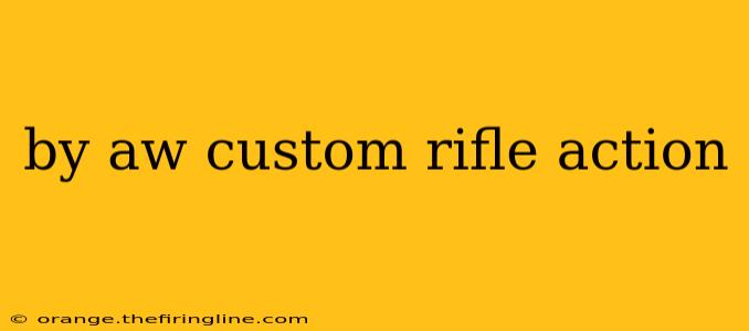 by aw custom rifle action