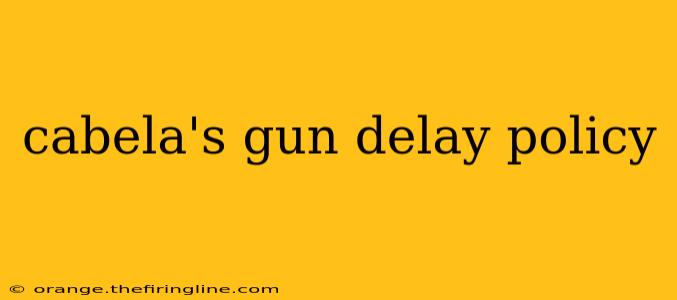 cabela's gun delay policy