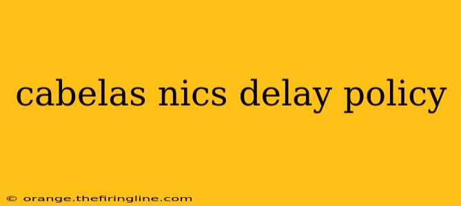 cabelas nics delay policy