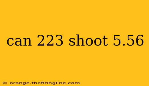 can 223 shoot 5.56