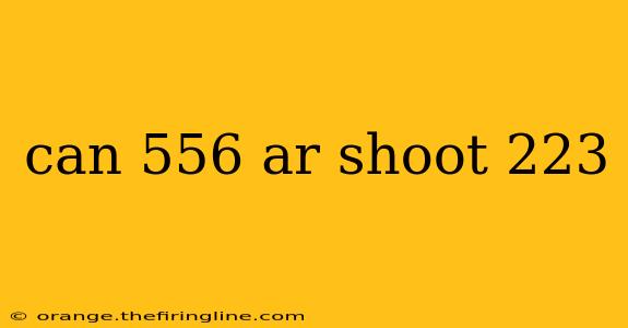 can 556 ar shoot 223