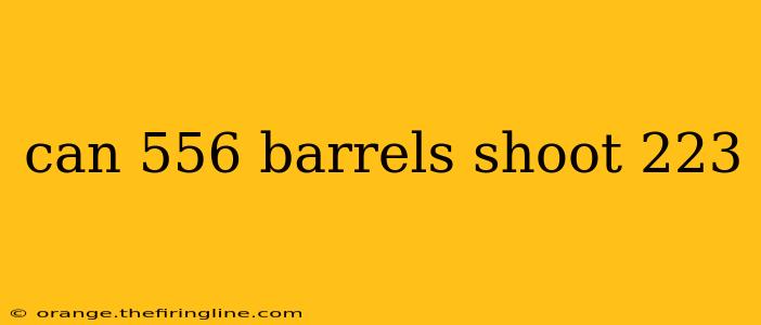 can 556 barrels shoot 223