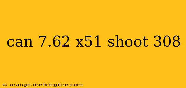 can 7.62 x51 shoot 308