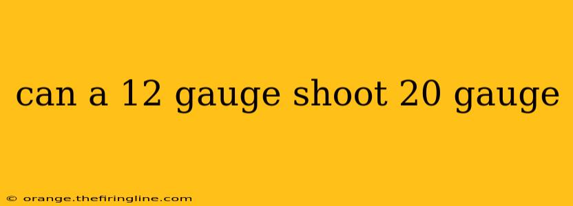 can a 12 gauge shoot 20 gauge