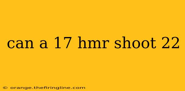 can a 17 hmr shoot 22